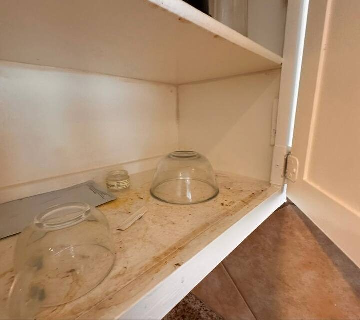 Kitchen cabinet shelves before cleaning